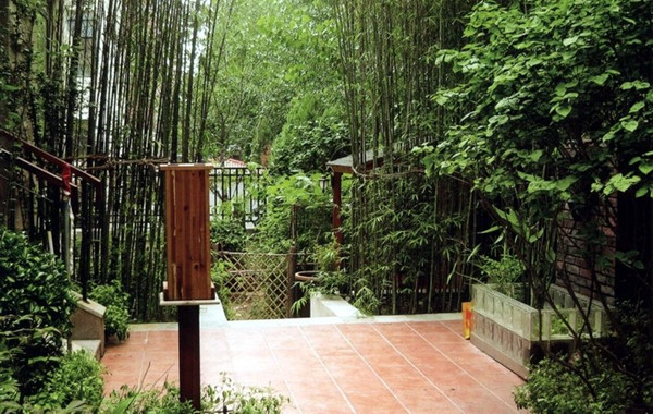 竹子的庭院設(shè)計運(yùn)用